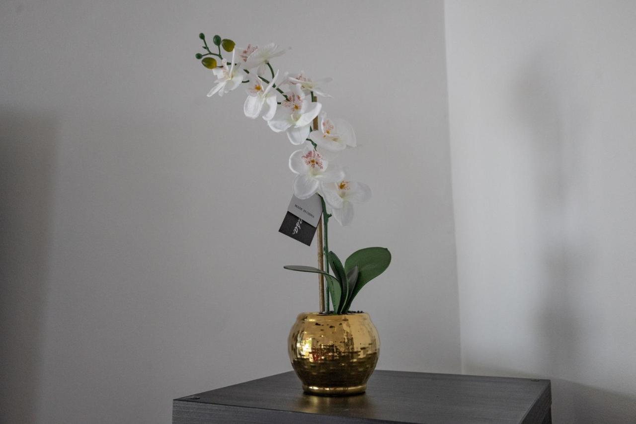 Villa London - 4 Bed - Sleeps 8 - Garden - Pet Friendly Exterior foto